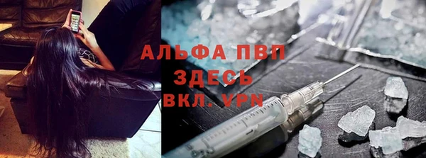мет Алексин