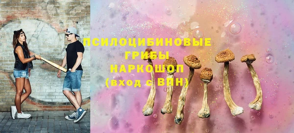 ПСИЛОЦИБИНОВЫЕ ГРИБЫ Алзамай