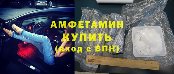 мет Алексин