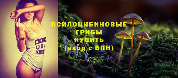 ПСИЛОЦИБИНОВЫЕ ГРИБЫ Алзамай